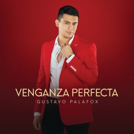 Venganza Perfecta (Versión Banda) | Boomplay Music