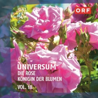 ORF Universum Vol.18