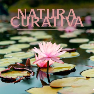 Natura curativa: Musica calmante per alleviare lo stress, Pioggia calmante, Onde oceaniche, Uccelli che cantano