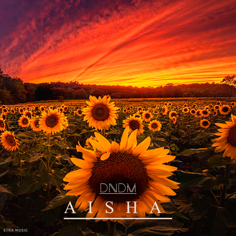 Aisha | Boomplay Music