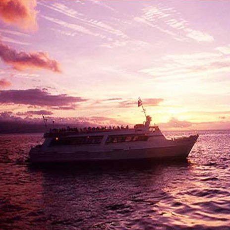 Sunset x Cruise | Boomplay Music