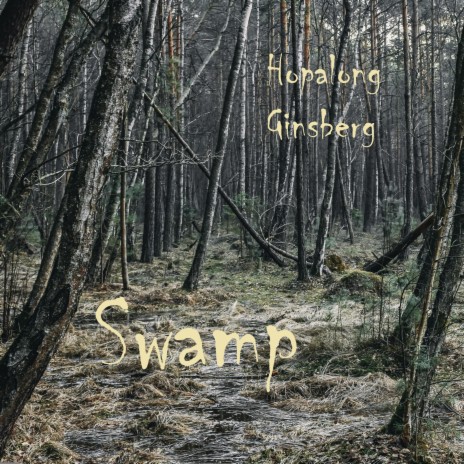 Swamp | Boomplay Music