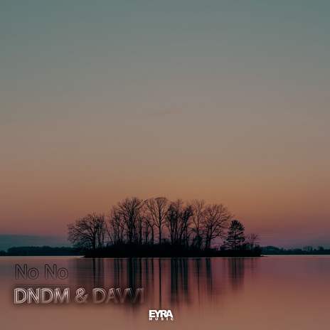 No No ft. Davvi | Boomplay Music