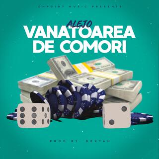 Vanatoarea de comori