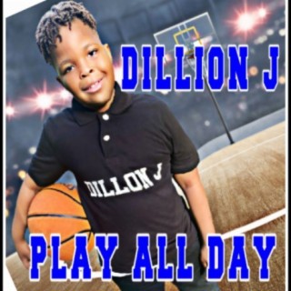 Dillon J