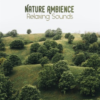 Nature Ambience (Relaxing Sounds)