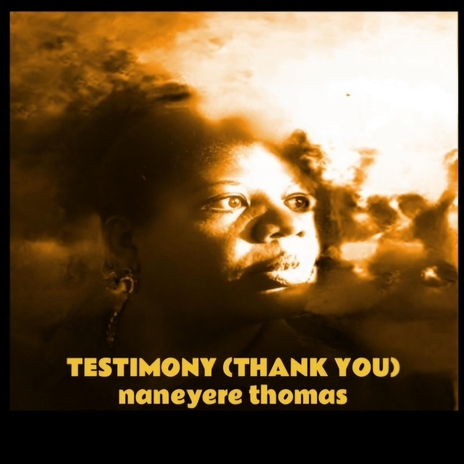 Testimony (Thank You) | Boomplay Music