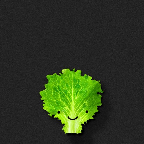 lettuce leaf | Boomplay Music