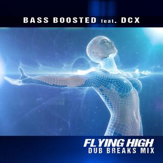 Flying High (Dub Breaks Mix)