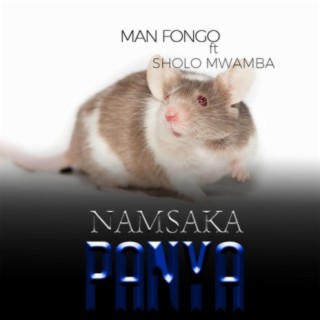 Namsaka Panya