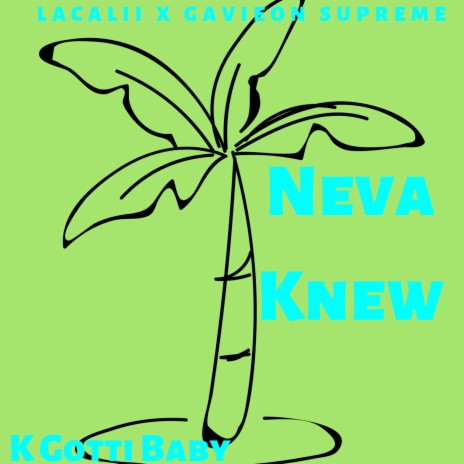 Never Knew | Boomplay Music