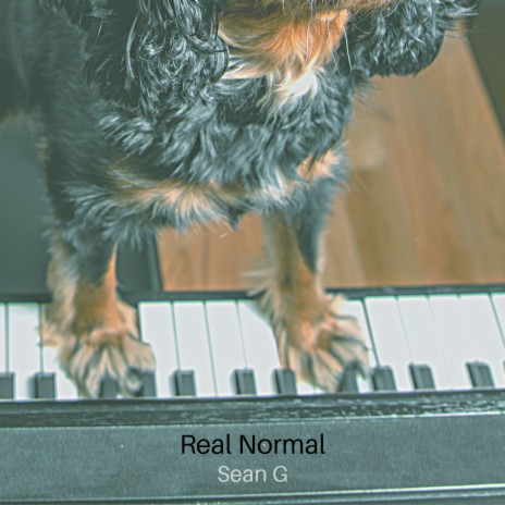 Real Normal | Boomplay Music