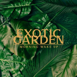 Exotic Garden for Morning Wake Up: Tropical Nature Ringtones for Positive Energy
