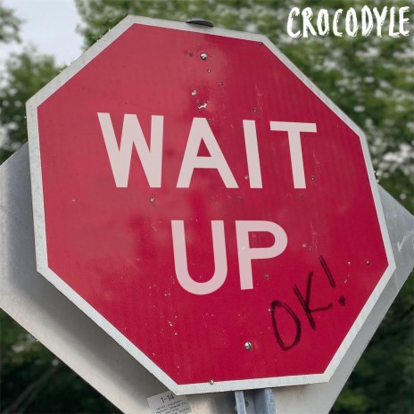 Wait Up | Boomplay Music