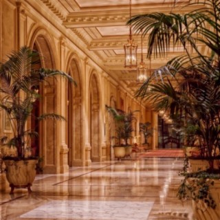Lobby Room Sex