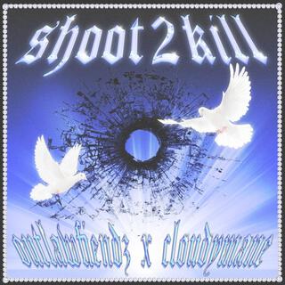 SHOOT 2 KILL