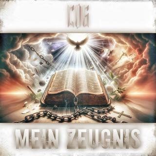 Mein Zeugniss lyrics | Boomplay Music