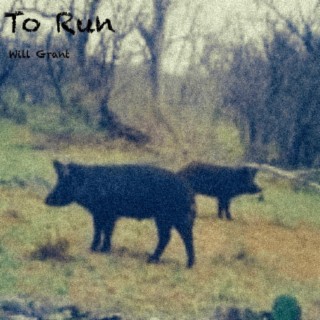 To Run