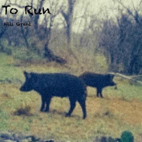 To Run | Boomplay Music