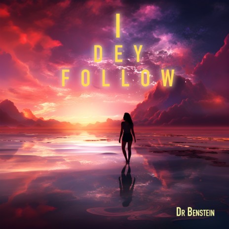 I Dey Follow | Boomplay Music