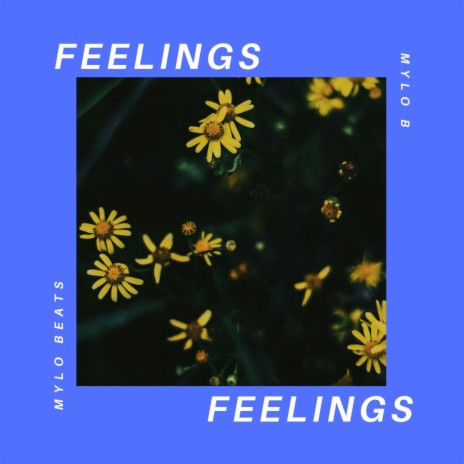 Feelings