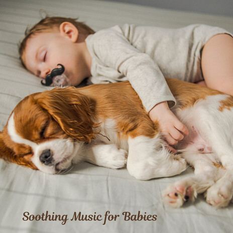 Soothing Reverie ft. Baby Sleep Music, Classical Lullabies & Soothing Piano Classics For Sleeping Babies | Boomplay Music