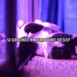 56 Surrounded In Natural Sounds For Sleep