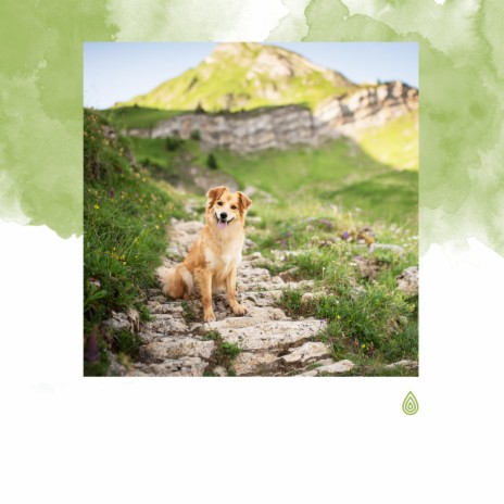 Sons Enthousiastes de la Nature ft. Calming for Dogs Indeed, Baby Lullaby Philocalm Academy, Relaxing Music Philocalm, Music for Dogs Ears & Dhriti Aloki Chakra