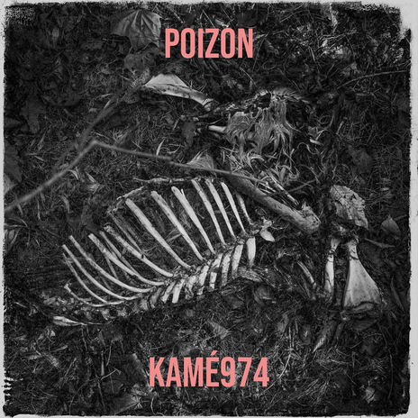 Poizon | Boomplay Music