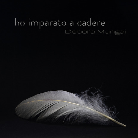 Ho imparato a cadere | Boomplay Music