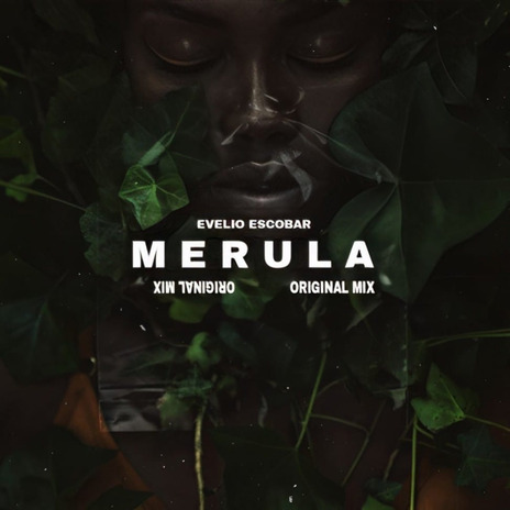 MERULA | Boomplay Music