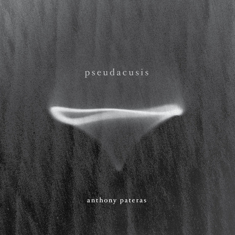 Pseudacusis [vii] | Boomplay Music