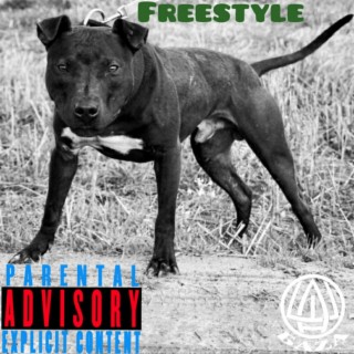 Freestyle