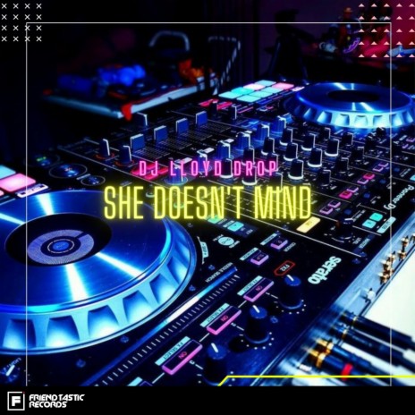 She Doesn't Mind | Boomplay Music