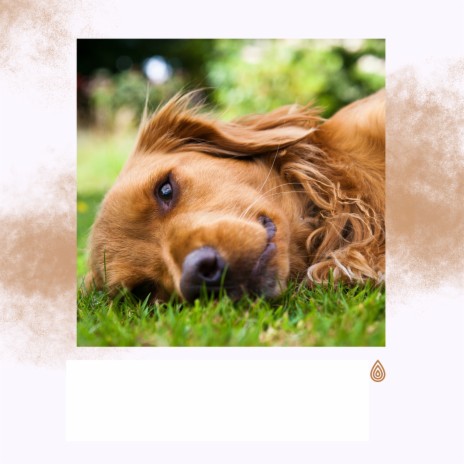 Refroidissement des Vibrations de Chill Out Subconscient de l'Eau ft. Mellow Music Inc, Calming for Dogs Indeed, Baby Sleep, Calming Music for Kids & Music for Dogs Ears