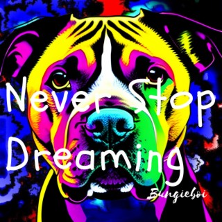 Never Stop Dreaming