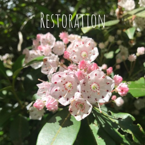 Restoration | Boomplay Music