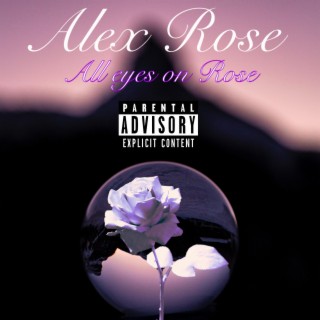 All eyes on rose