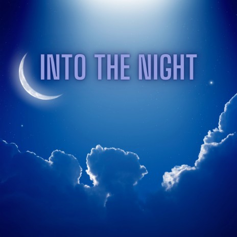 Into the Night | Boomplay Music