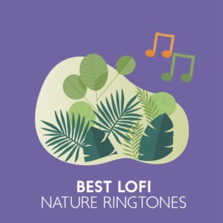 Best Lofi Nature Ringtones: Electronic Chill Beats