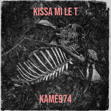 Kissa mi le T | Boomplay Music