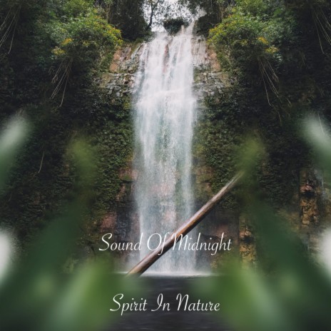 Spirit In Nature | Boomplay Music