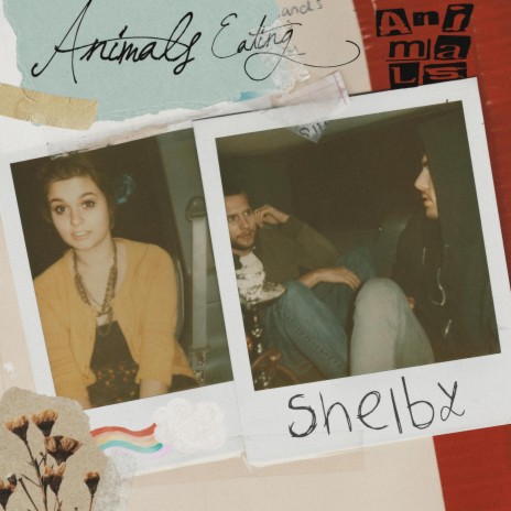 Shelby | Boomplay Music