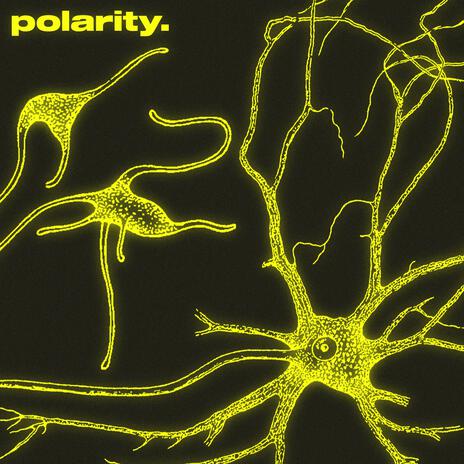 polarity. | Boomplay Music