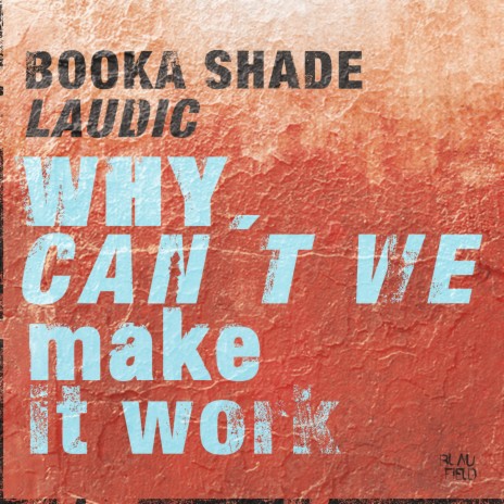 Why Can't We Make It Work (Extended) ft. Laudic | Boomplay Music