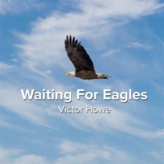 Waiting For Eagles