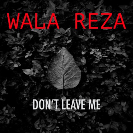 Don't Leave Me | Boomplay Music