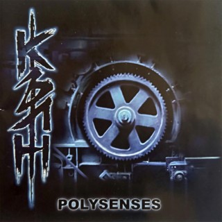 Polysenses