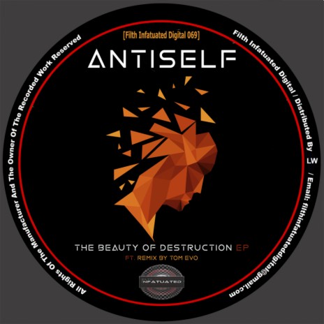 The Beauty Of Destruction (Original Mix)