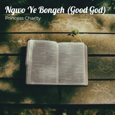 Ngwo Ye Bongeh (Good God) | Boomplay Music